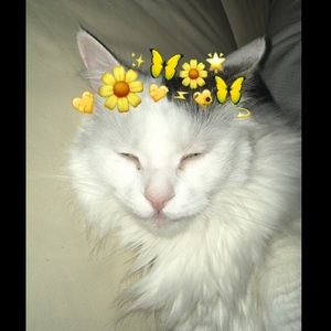 Meet your Posher, Jada